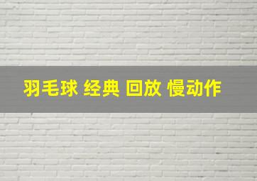 羽毛球 经典 回放 慢动作